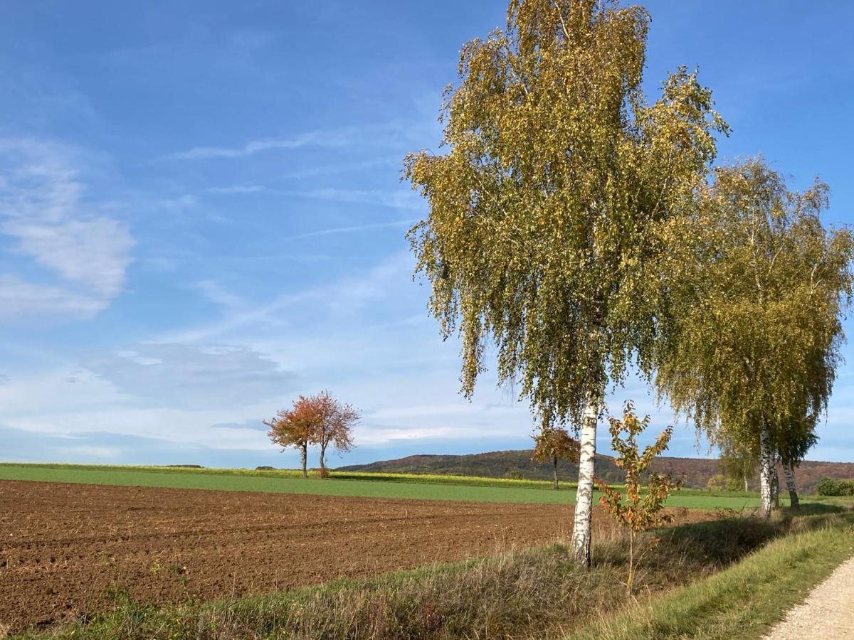 Ferienwohnung Franken Hallerndorf Exteriör bild
